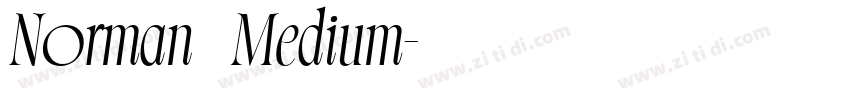 Norman   Medium字体转换
